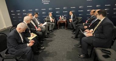 اتفاق مصري إيراني على استمرار التشاور للتوصل لحل يحفظ أمن واستقرار المنطقة