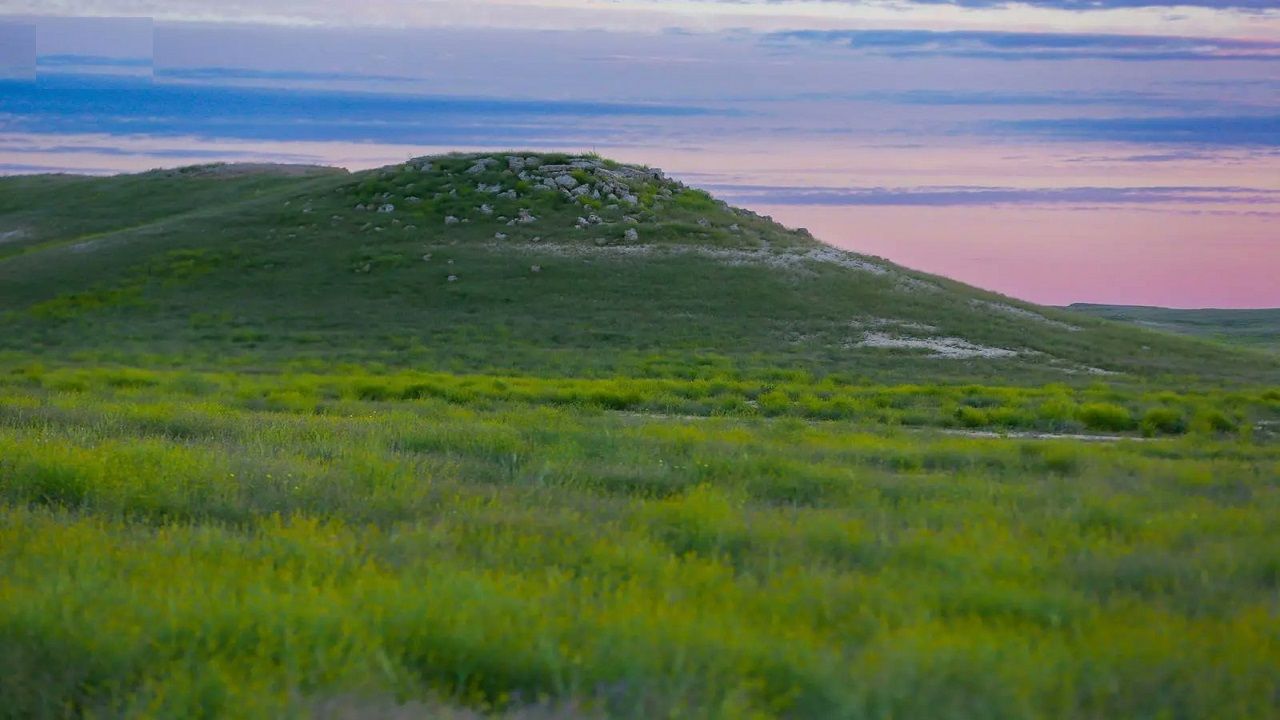 تحديث آلية الدخول والتنزه في منطقتيّ الصمان والدهناء