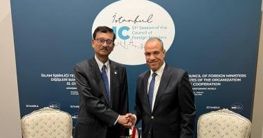 وزير الخارجية والهجرة يلتقى بمستشار الشئون الخارجية فى بنجلاديش