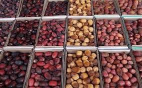 الحصيني: ظهور الرطب يبدأ والأحساء أولى المناطق