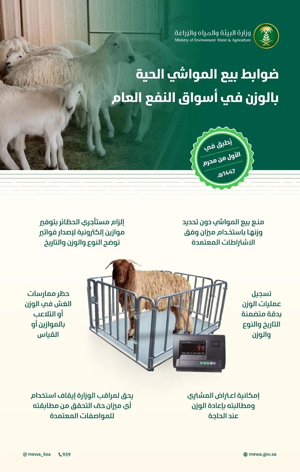 البيئة تحدد ضوابط بيع المواشي الحية بالوزن