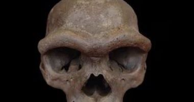 تكنولوجيا: جمجمة "رجل التنين" في الصين تكشف عن أقدم وجه معروف لسلالة الدينيسوفان الغامضة