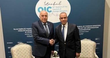 مباحثات مصرية جزائرية حول التطورات المتلاحقة على الساحة الإقليمية