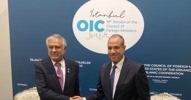 وزير الخارجية يؤكد لنظيره الباكستاني ضرورة وقف التصعيد العسكري في المنطقة