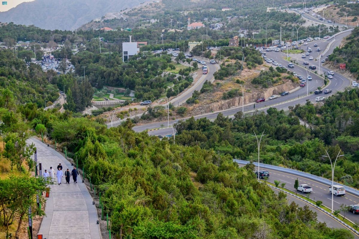 صيف الباحة.. فعاليات متنوعة وتجربة ترفيهية متكاملة للزوار