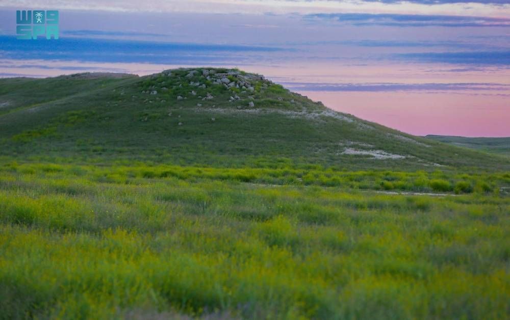 12 ساعة للتنزه بالصمان والدهناء