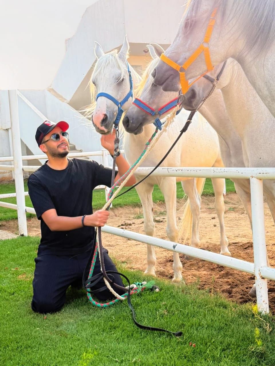 عصام السقا وسط الخيول العربية معلقا: سبحان من خلق