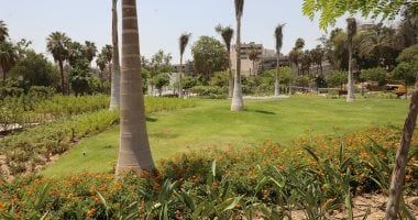 شاهد حديقة الأزبكية بالقاهرة تعود للحياة.. صور