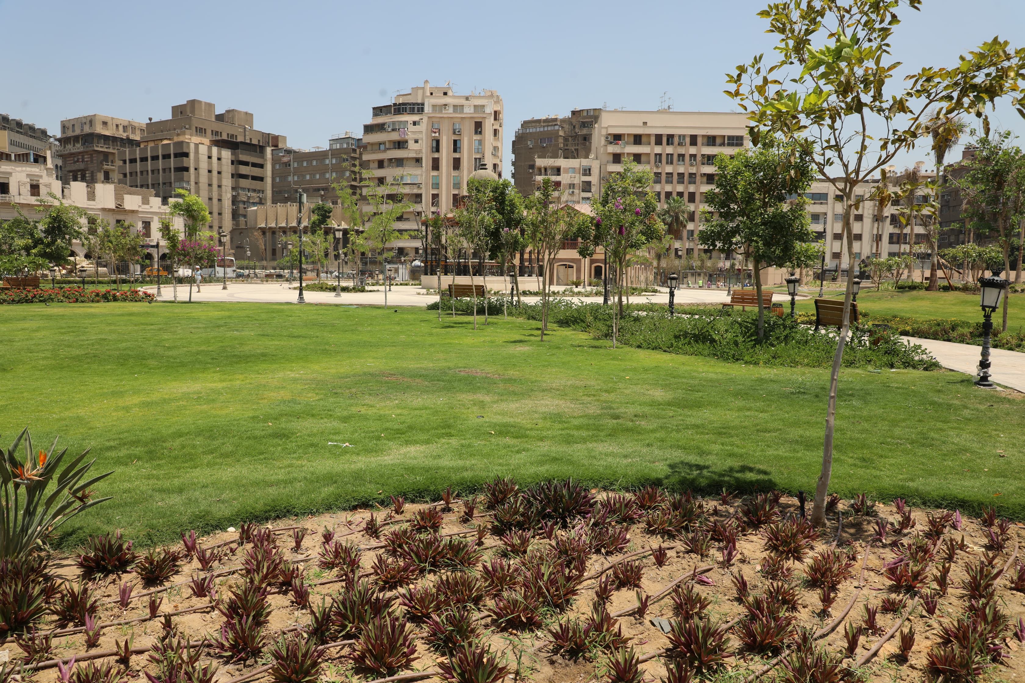 شاهد حديقة الأزبكية بالقاهرة تعود للحياة.. صور