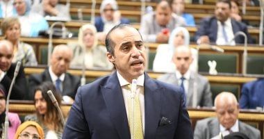 وزير الشئون النيابية قبل فض جلسات الشيوخ: نجدد العهد أن نقف خلف الرئيس السيسي