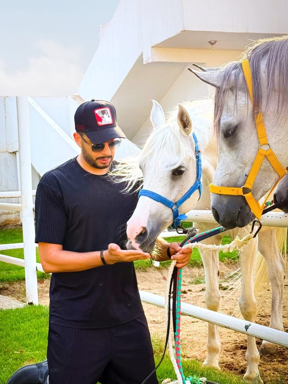 عصام السقا وسط الخيول العربية معلقا: سبحان من خلق