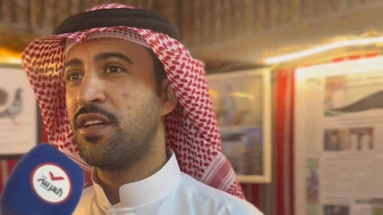 مواطن يكشف أسرار تربية الحمام الزاجل وإنجازاته الدولية ..فيديو