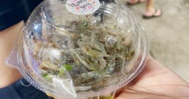 تكنولوجيا: بلاش أطباق بلاستيك.. دراسة تحذر من تلوث الطعام بجزيئات بلاستيكية دقيقة