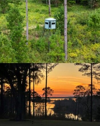 طبيعة خلابة ومساحة كبيرة..جيك بول يستحوذ على هذا العقار الرائع