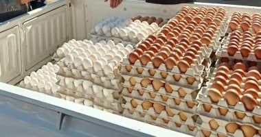 "الإصلاح الزراعى" يطلق منافذ متنقلة لطرح البيض والأسماك بأسعار مخفضة
