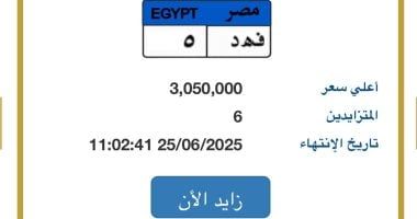 سعر "فهد- 5" يتخطى 3 ملايين جنيه فى مزاد اللوحات المميزة للسيارات