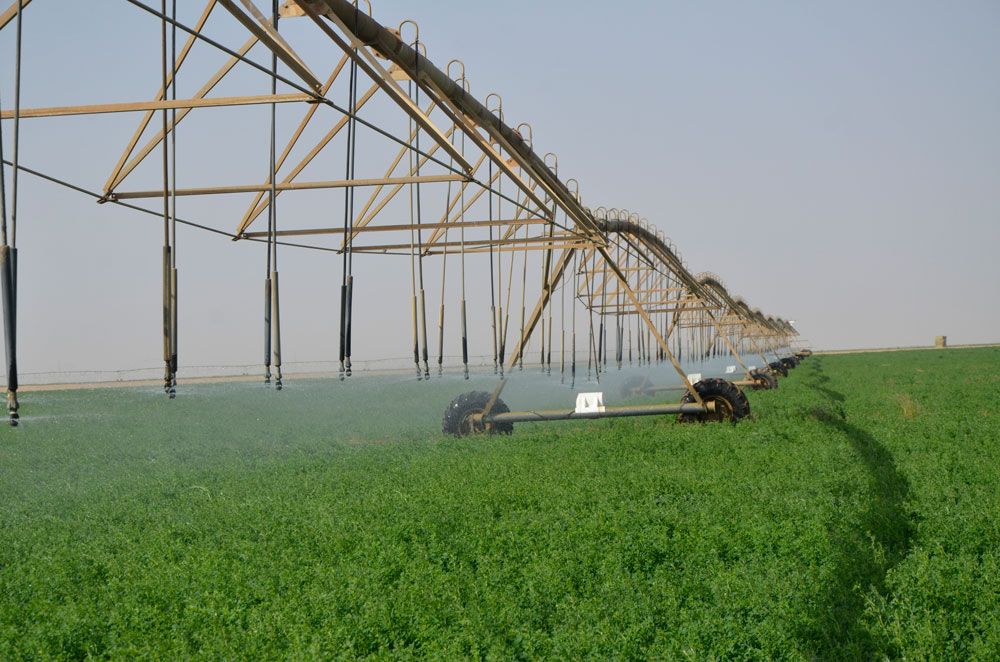 ولاية النيل الأبيض تعلن استعدادها للدخول في شراكات استثمارية مع ” زادنا ” في مجال الزراعة والخدمات