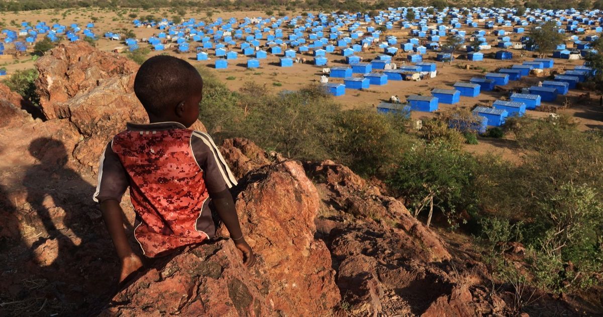 محلل: عدم استقرار القارة الإفريقية بسبب النزاعات المستمرة