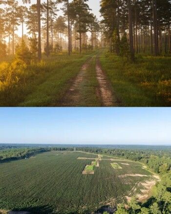 طبيعة خلابة ومساحة كبيرة..جيك بول يستحوذ على هذا العقار الرائع