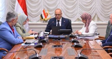 وزير العمل يوجه التمثيل العمالى بالخارج بالتواصل مع الشركات لتوفير فرص عمل للشباب