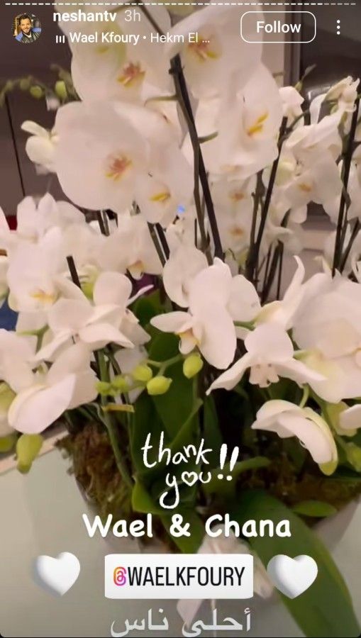 وائل كفوري يظهر للمرة الأولى علنًا مع زوجته شانا عبود.. أطلت بمراحل متقدمة من الحمل