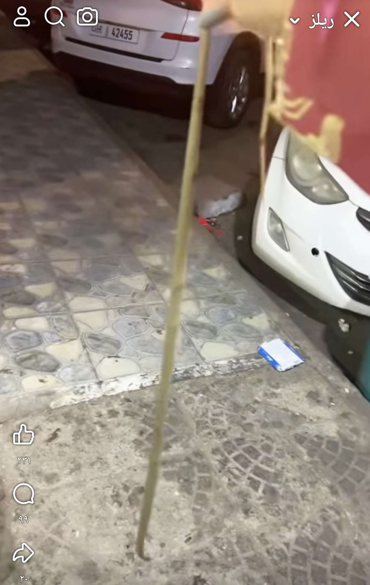 بعد المعلا.. انتشار جديد للثعابين بهذه المدينة في عدن