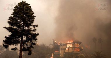 تكنولوجيا: دراسة: حرائق الغابات تهدد جودة المياه لمدة تصل إلى ثمانى سنوات بعد احتراقها