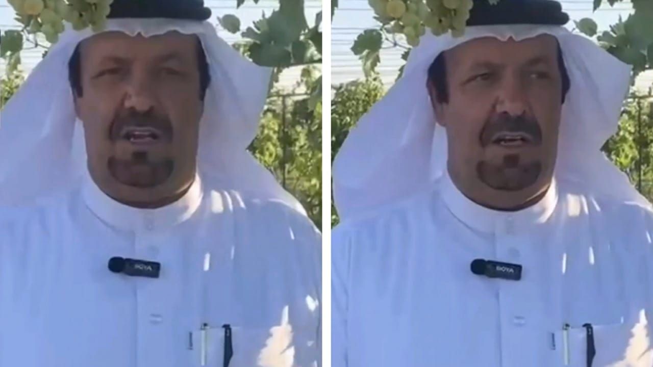 مزارع في طبرجل ينتج 50 طناً من أجود أنواع العنب سنوياً.. فيديو