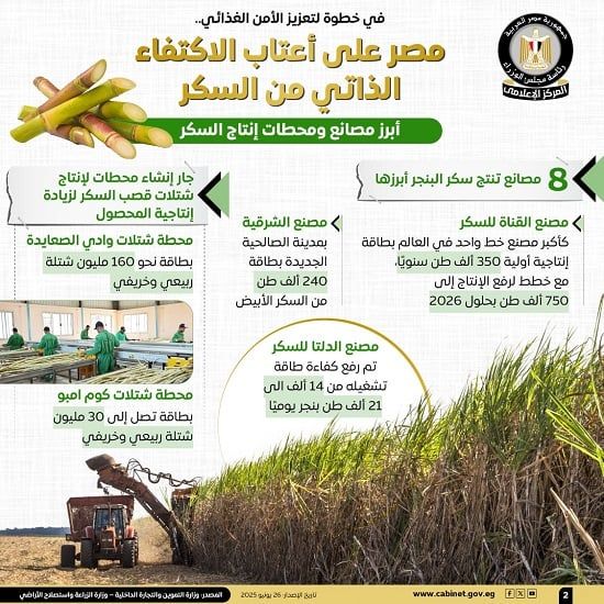 مجلس الوزراء: مصر على أعتاب الاكتفاء الذاتى من السكر