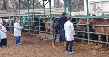 وزارة الزراعة تواصل حملات التقصى ومتابعة الحالة الصحية للخيول وأسواق الماشية