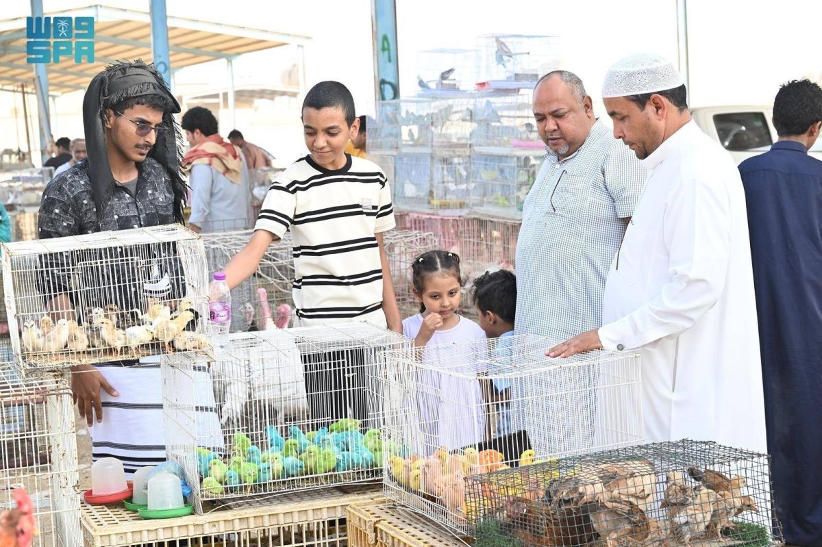 أسواق الطيور في جازان.. تجربة سياحية غنية لعشاق الحيوانات الأليفة