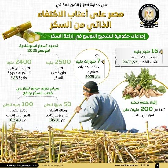 مجلس الوزراء: مصر على أعتاب الاكتفاء الذاتى من السكر