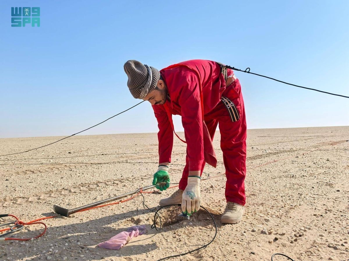 «الغطاء النباتي» و«أرامكو» يتعاونان لنثر 50 مليون بذرة في صحراء الربع الخالي