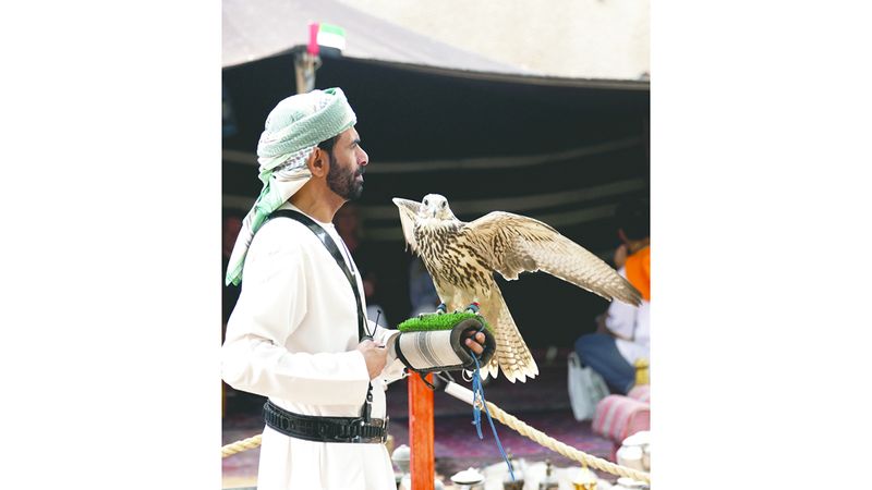 الامارات | مدرسة الصبر والشجاعة