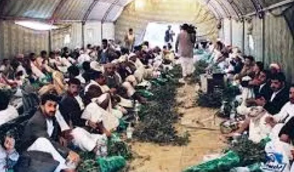 اثناء مضغ القات...تحذير طبي من عادة منتشرة بين الشباب