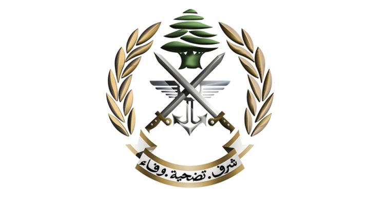 الجيش: توقيف شخصَين لارتكابهما جرائم مختلفة وضبط كمية من المخدرات ومستندات مزورة