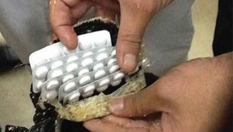 ضبط 80 كيلوجراماً، من مخدر الآيس بالقرب من الحدود الشمالية للبلاد