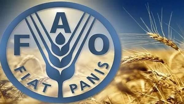 “الفاو”: 75% من المساحات المزروعة في سوريا تأثرت بموجة الجفاف