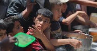 مراسل القاهرة الإخبارية من خان يونس: لا أخفيكم سرا أنا جائع "فيديو"