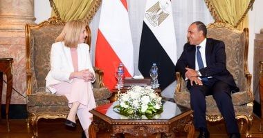 وزير الخارجية يجرى مشاورات سياسية مع نظيرته النمساوية