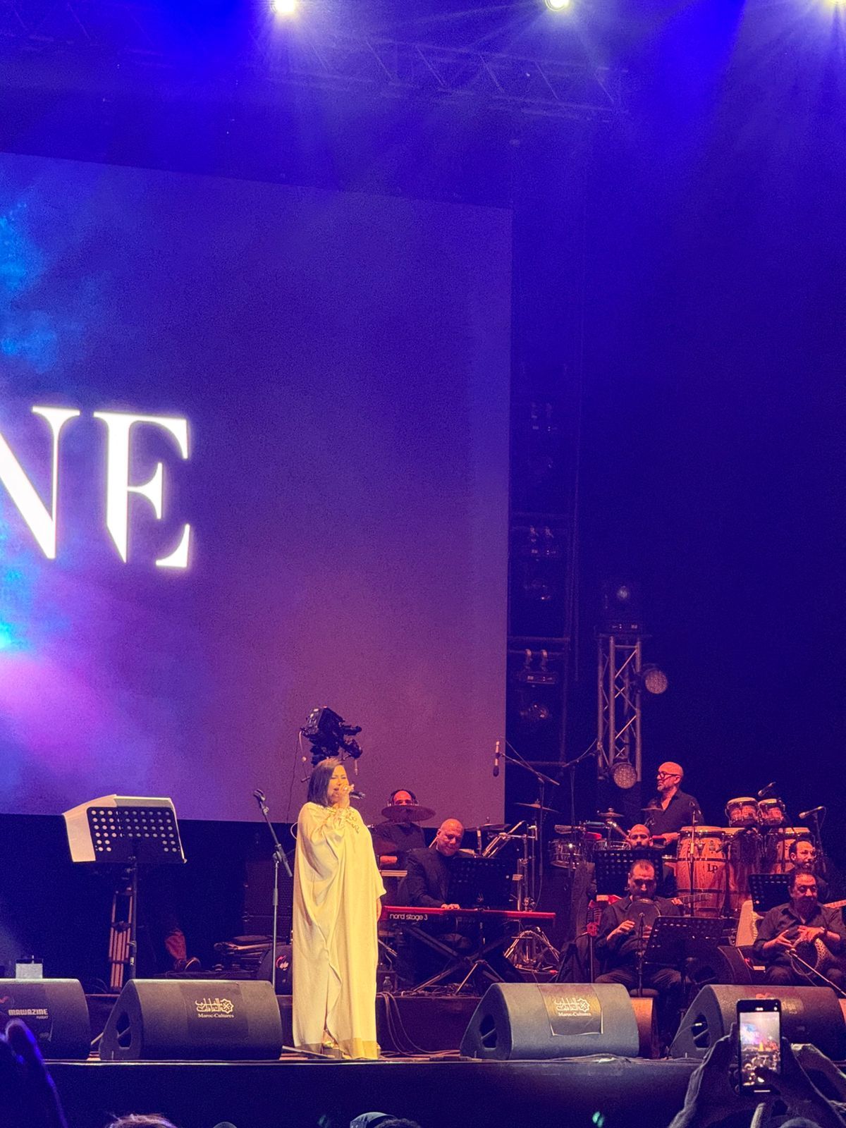 شيرين تحيي حفلها بمهرجان موازين وسط حضور كبير.. صور