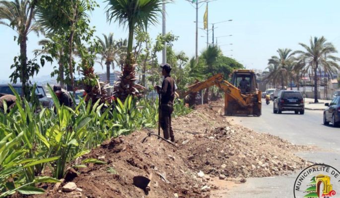 بلدية صور تطلق حملة تشجير لمداخل المدينة والمستديرات الرئيسية