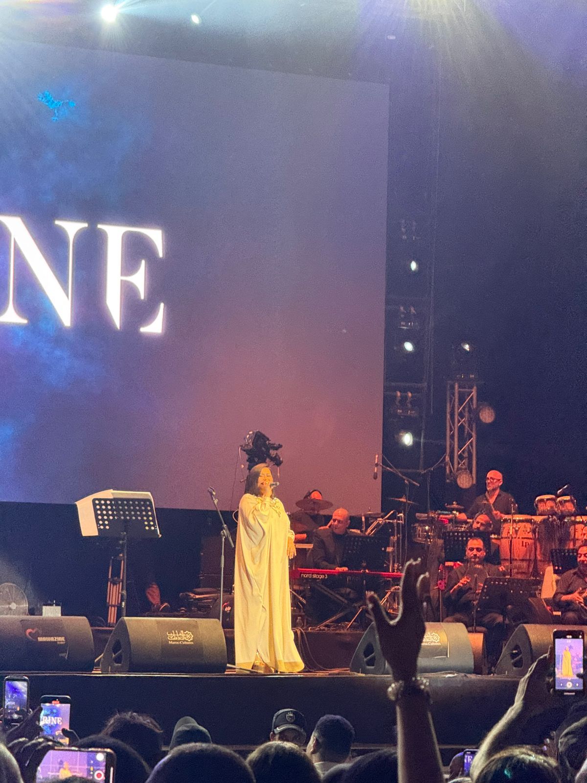 شيرين تحيي حفلها بمهرجان موازين وسط حضور كبير.. صور