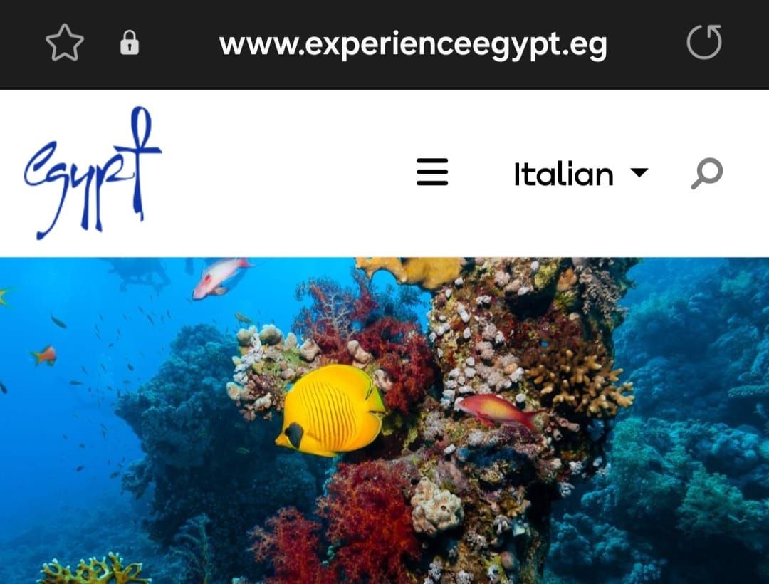 إضافة اللغتين الإيطالية والفرنسية للموقع الترويجى لتنشيط السياحة