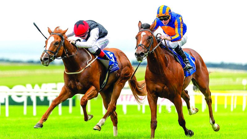 الامارات | مضمار جبل علي يعزز حضوره العالمي بشراكة مع «كورا الأيرلندي»