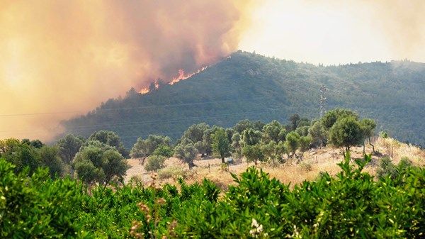 إجلاء أكثر من 50 ألف شخص بسبب حرائق الغابات في تركيا