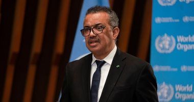 الصحة العالمية تستعرض تفاصيل مشروع دعم مرضى القصور الكلوى السودانيبن بمصر