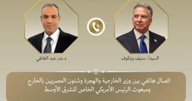 وزير الخارجية يؤكد لمبعوث ترامب ضرورة استئناف وقف إطلاق النار فى غزة