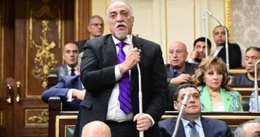 رئيس برلمانية مستقبل وطن: حريصون على تحقيق توازن بين حق الملكية والحق في السكن الملائم