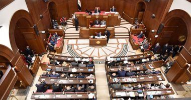 لو هترشح نفسك لمجلس الشيوخ تعرف على أروراق الترشح المطلوبة